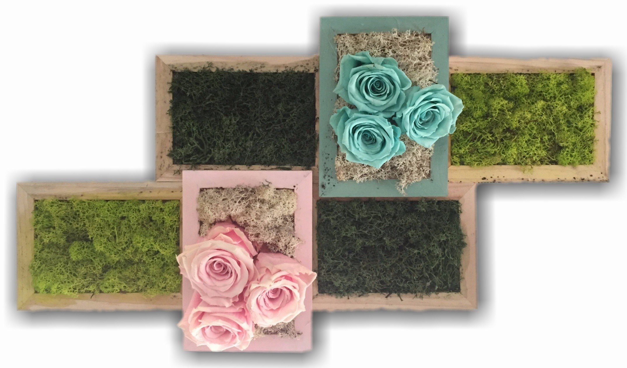 Quadro vegetale con rose stabilizzate